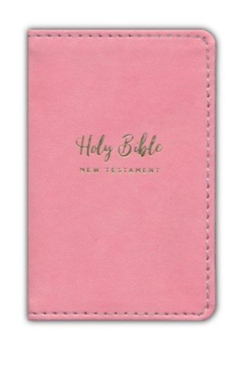 Dark Salmon Tiny Bible New Testament (NIV)