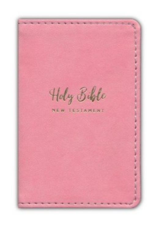 Dark Salmon Tiny Bible New Testament (NIV)